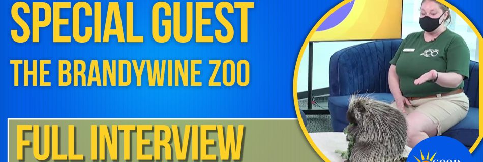 The Brandywine Zoo on Good Morning Wilmington