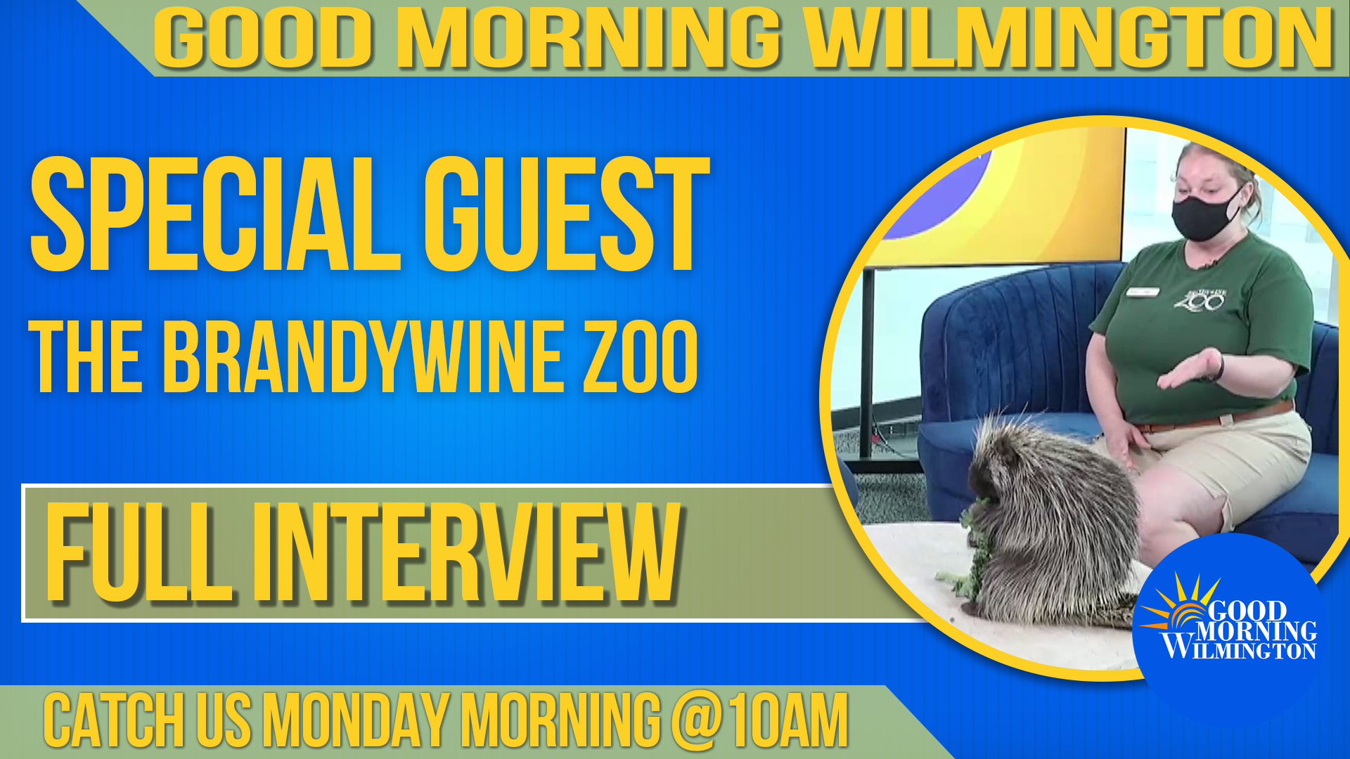 The Brandywine Zoo on Good Morning Wilmington DETVCH