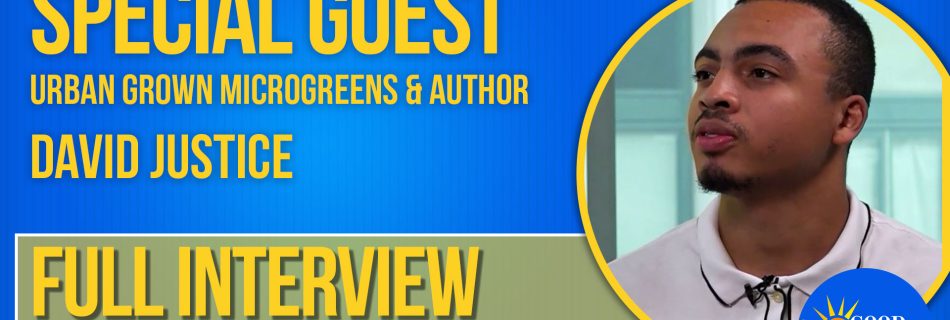 Author David Justice