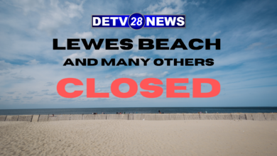 Lewes Beach Closed