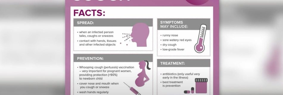 surge in whooping cough cases